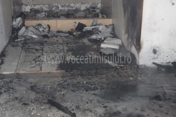 Boschetarii din Timişoara pun autorităţiile „pe jar”. Incendiu provocat de oamenii străzii FOTO+VIDEO