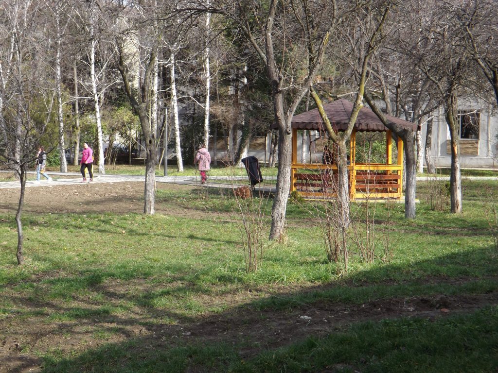 Rugby-pentru-copiii-cu-dizabilităţi-de-la-Liceul-Iris05