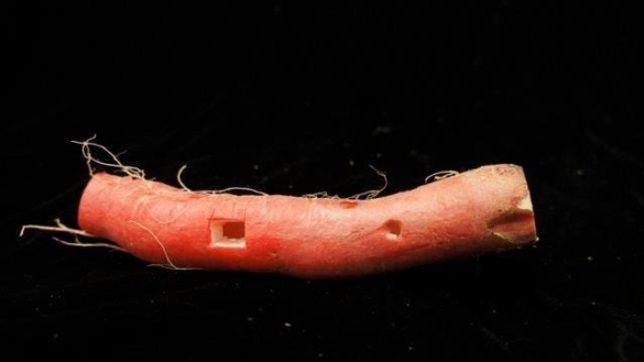 Vegetable Orchestra 7 Vegetable Orchestra 7
