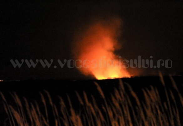 incendiu camp 1