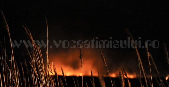 incendiu camp 10