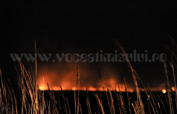 incendiu camp 11