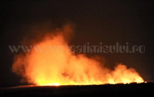 incendiu camp 4 jpg