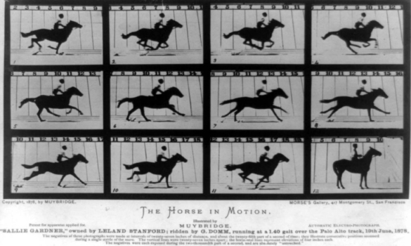 muybridge muybridge