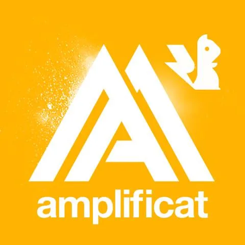 AMPLIFICAT-2