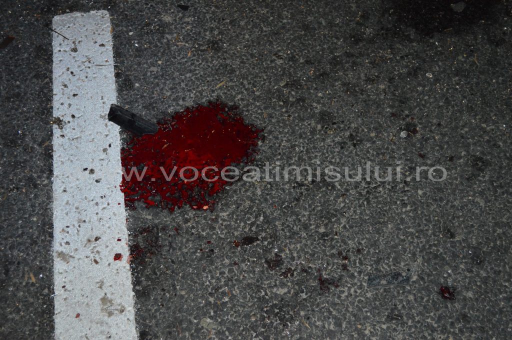 Doi ţigani au blocat traficul pe autostrada A114 Doi ţigani au blocat traficul pe autostrada A114