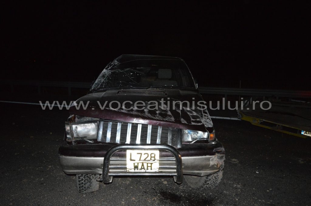 Doi ţigani au blocat traficul pe autostrada A118 Doi ţigani au blocat traficul pe autostrada A118