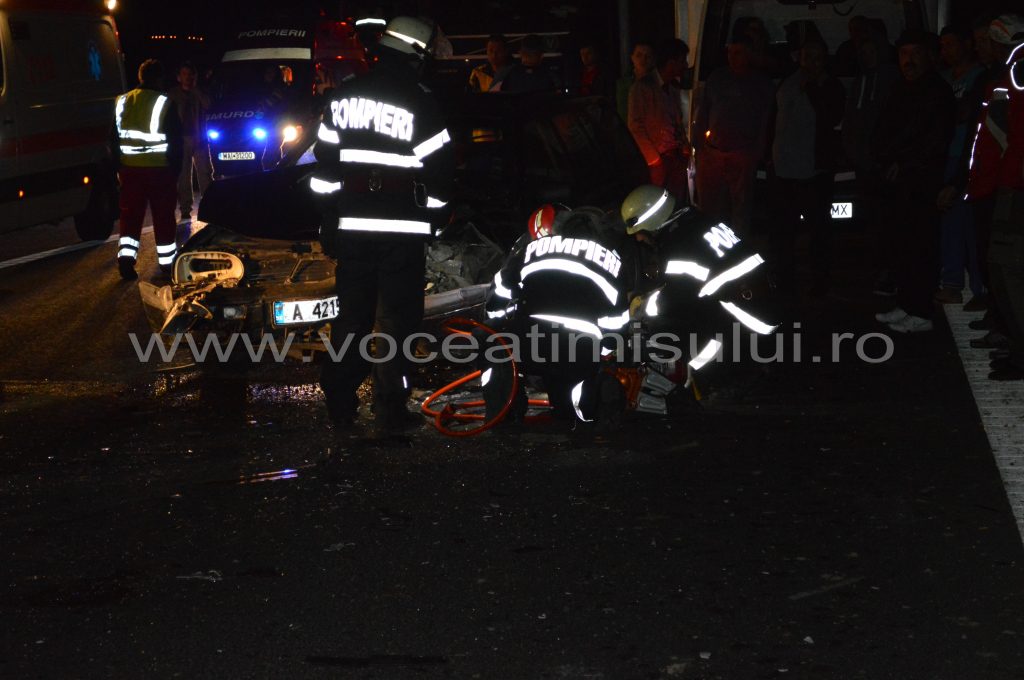Doi ţigani au blocat traficul pe autostrada A119 Doi ţigani au blocat traficul pe autostrada A119