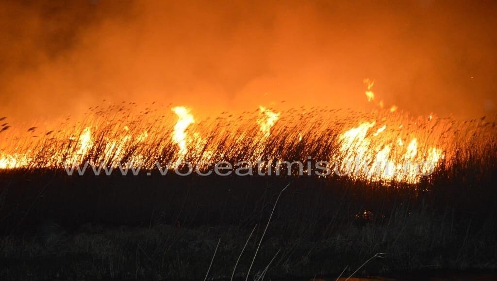 INCENDIU-de-proporţii-în-cartierul-Plopi10