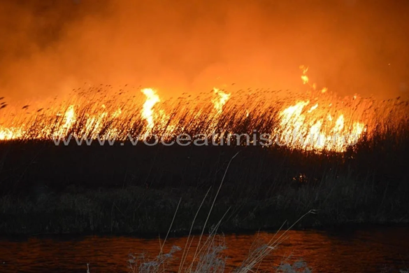 Incendiile de vegetatie, PERICOL pentru sistemele de distributie a gazelor si curentului