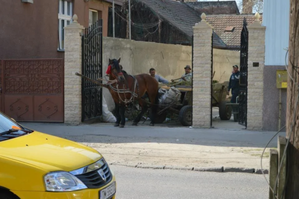 NESIMŢIREA unor ţigani din Timişoara întrece orice limite! Moloz, cărat cu căruţele şi abandonat pe domeniul public. Poliţia locală, din nou fără reacţie FOTO
