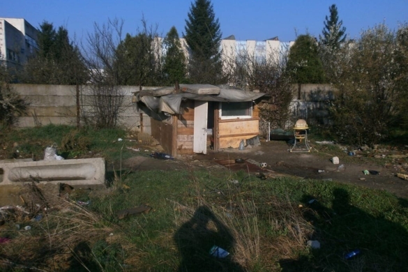 Colibă demolată de Poliţia Locală Timişoara, în Zona Calea Buziaşului FOTO