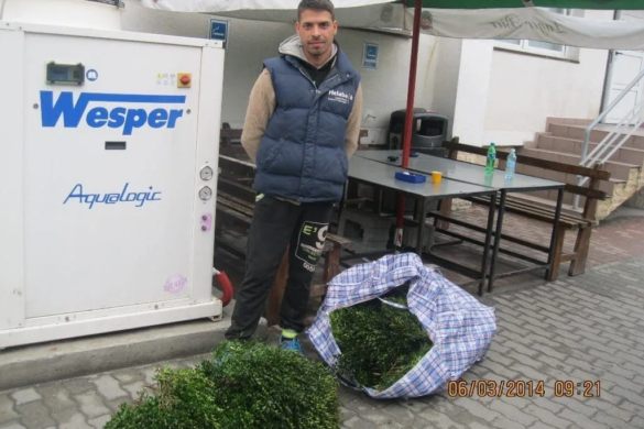 Tânăr din Caraș Severin prins de poliție în timp ce fura gard viu din Cimitirul Eroilor