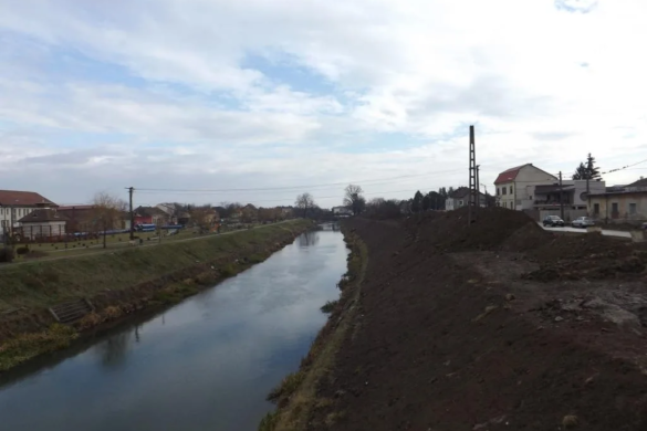 Erori la proiectul de modernizare a malurilor Begăi. Vor fi tăiați copacii!