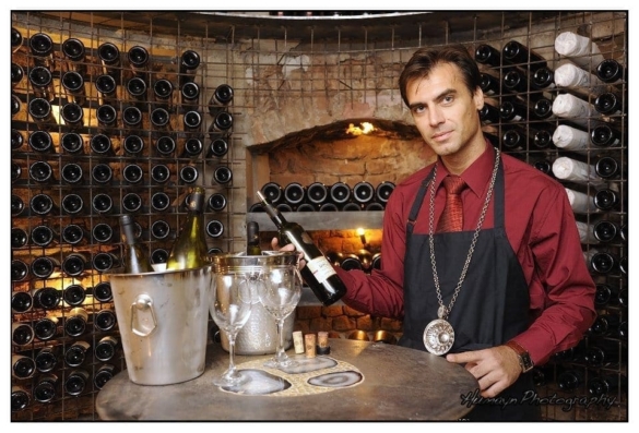 stelian stefan cramele recas stelian stefan cramele recas