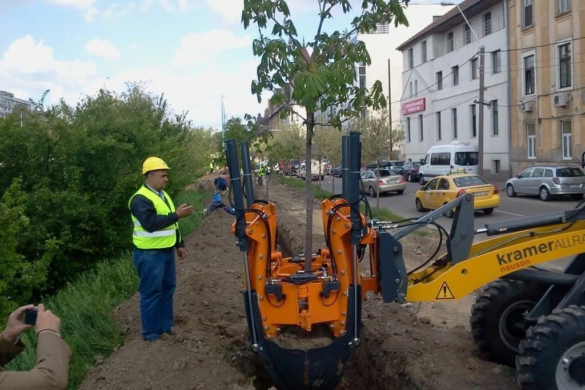 Primarul Robu anunţă: la Timişoara copacii nu se mai taie, se transplantează. Ce face Horticultura cu 40.000 de euro