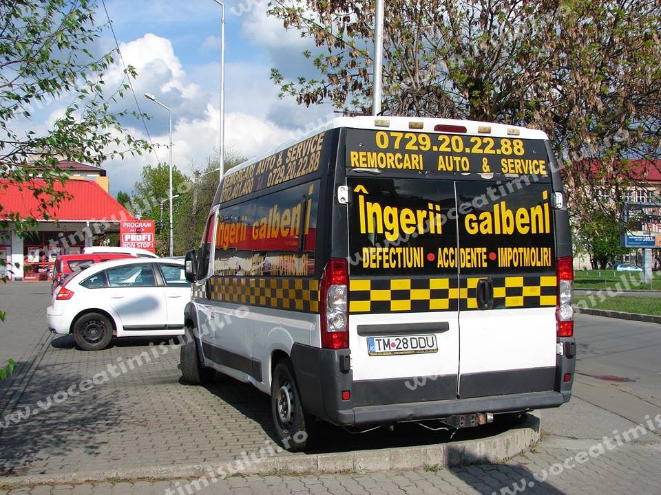 Ingerii Galbeni 1 Ingerii Galbeni 1
