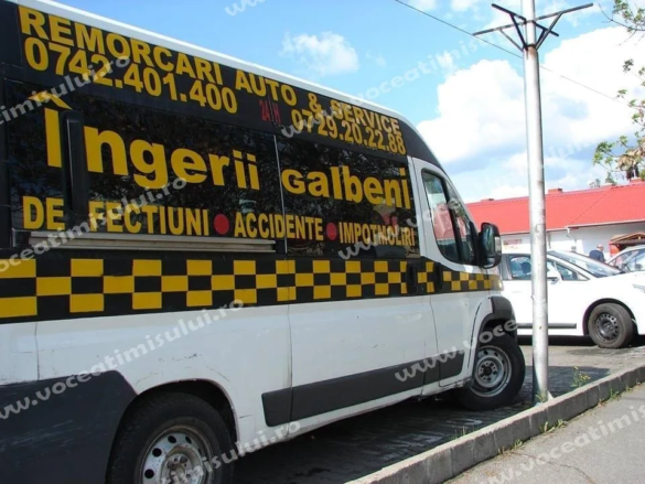 Ingerii Galbeni 2 jpg Ingerii Galbeni 2 jpg