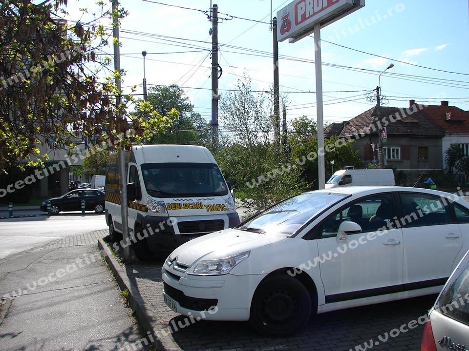 Ingerii Galbeni 21 Ingerii Galbeni 21