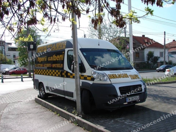 Ingerii Galbeni 3 Ingerii Galbeni 3