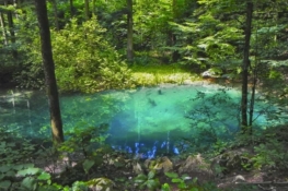 Ochiul Beiului, un colţ de natură scăldat în legende FOTO
