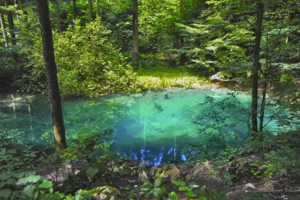 Ochiul Beiului, un colţ de natură scăldat în legende FOTO