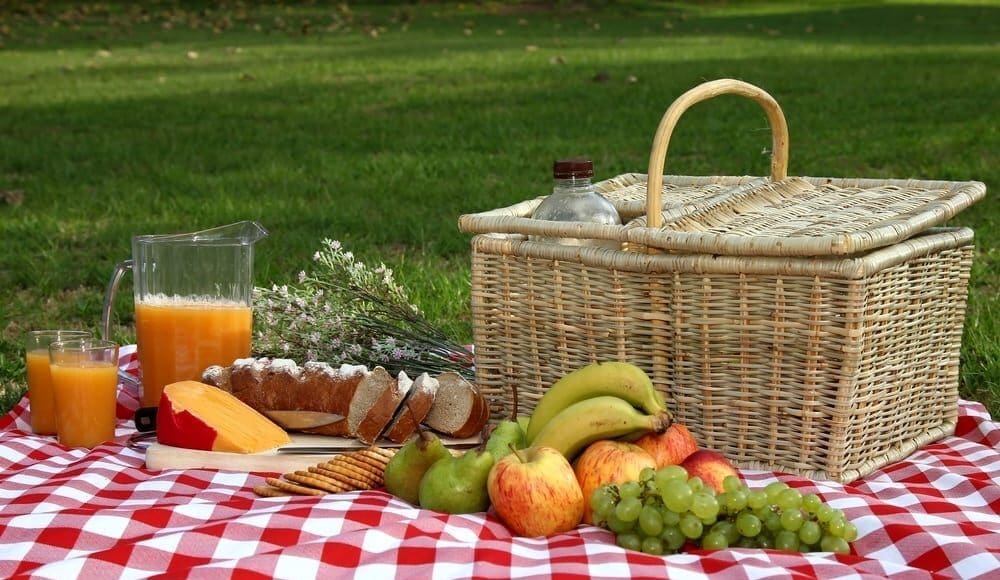 Picnic_Eating