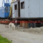 Timişenii-vor-finalizarea-reparaţiilor-podului-de-la-Albina17