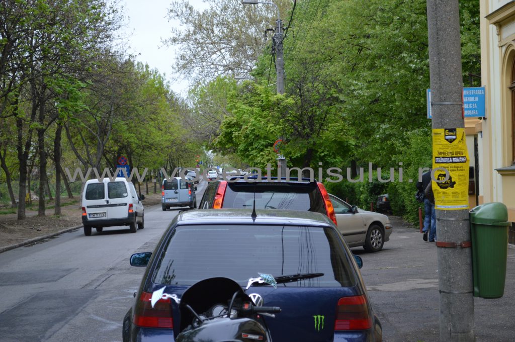Timpark04 Timpark04
