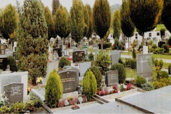 Primăria Timișoara va amenaja 2 cimitire noi. Vezi de când!