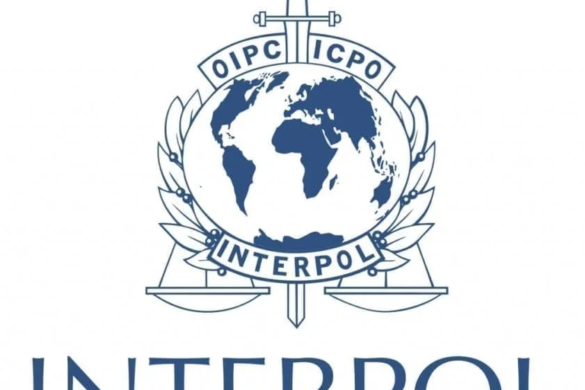Femeie urmărită de INTERPOL, prinsă de polițiștii din Timișoara. De ce era acuzată în Germania