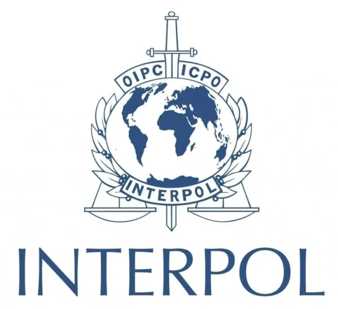 Femeie urmărită de INTERPOL, prinsă de polițiștii din Timișoara. De ce era acuzată în Germania