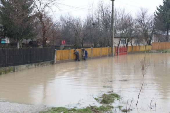 COD ROŞU de inundaţii și PORTOCALIU de PLOI! Județul Timiş e în ALERTĂ!