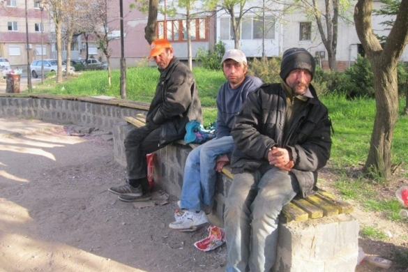 Timişoara anului 2017, prin ochii locuitorilor din Plopi, Kuncz și Baba Dochia: boschetari, câini vagabonzi, iarbă necosită, căruțe și animale lăsate libere