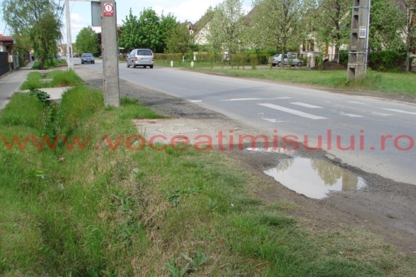 Trecere pentru pietonii săltăreţi, sau cum au „grijă” autorităţile timişorene de condiţia fizică a pietonilor FOTO