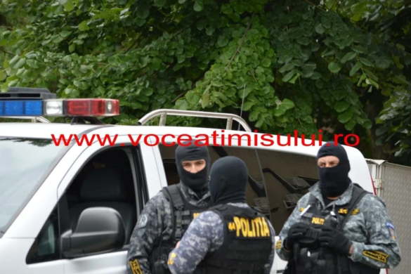 Grup de traficanți de migranți, destructurat de ”Crima Organizată”, în drum spre Timișoara