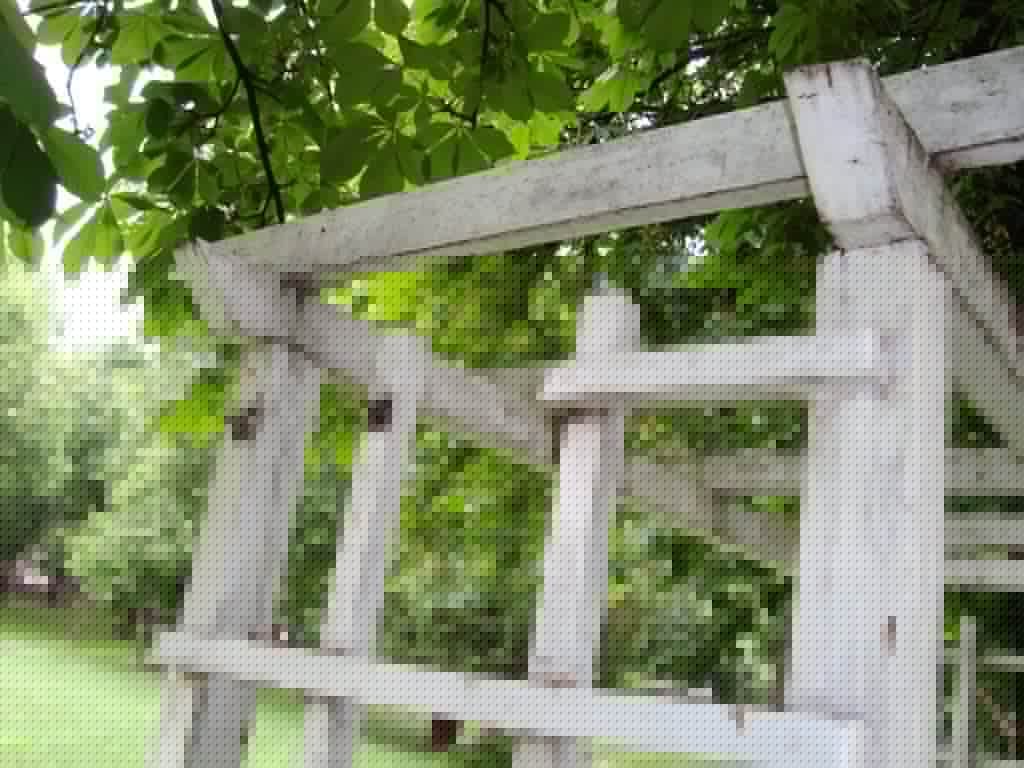 DSC02419 DSC02419