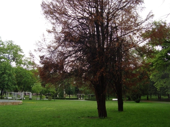 DSC02425 DSC02425