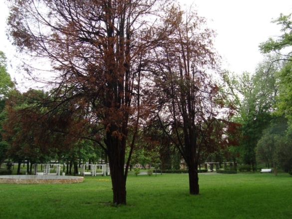 DSC02426 DSC02426