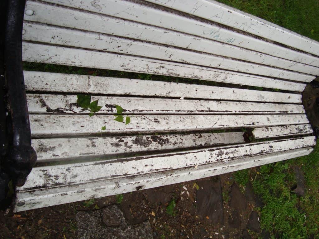 DSC02432 DSC02432