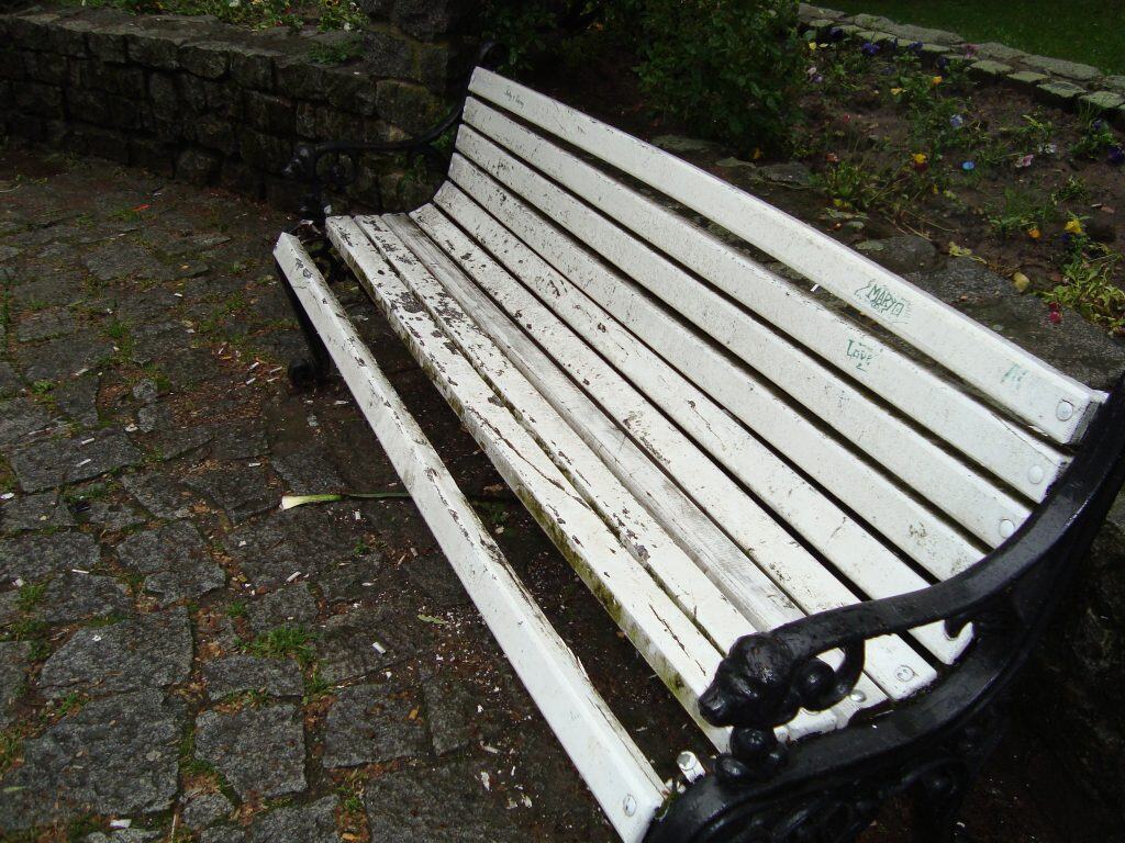 DSC02449 DSC02449