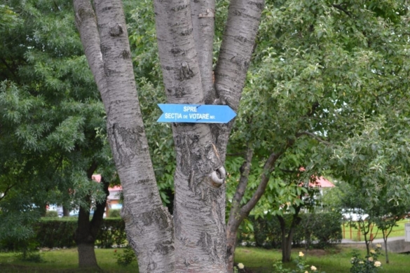 Politicenii locali au ieșit la vot. Vezi aici toate declarațiile VIDEO