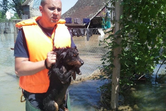 Pompierii timișeni au evacuat localitatea Jamena din Serbia. Regiunea este acoperită de 2 metri de apă