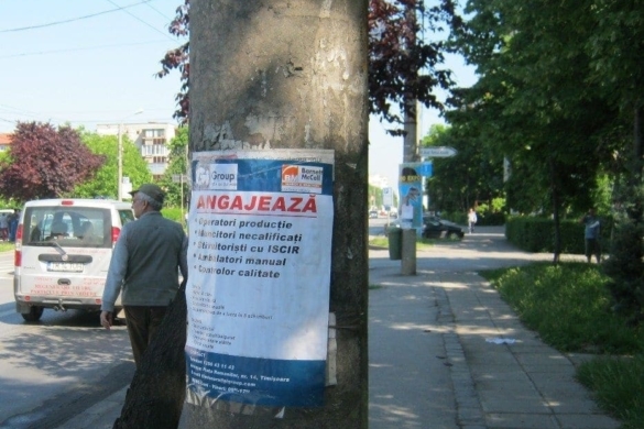 Poliţia Locală din Timişoara amendează din nou firmele care lipesc afişe fără aprobare. Circul Orlando, între ţinte!