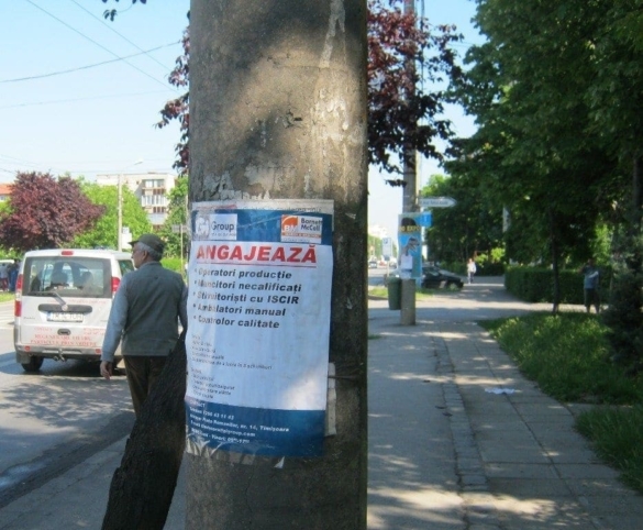 afisele1 afisele1