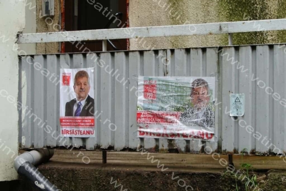 „Mândri că încălcăm legea cu nesimțire!” Campanie MURDARĂ a PSD Timișoara, pentru BÎRSĂŞTEANU