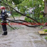copac căzut în cartierul primarului – Nicolae Robu02