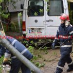 copac-căzut-în-cartierul-primarului-Nicolae-Robu29