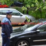 copac căzut în cartierul primarului – Nicolae Robu42