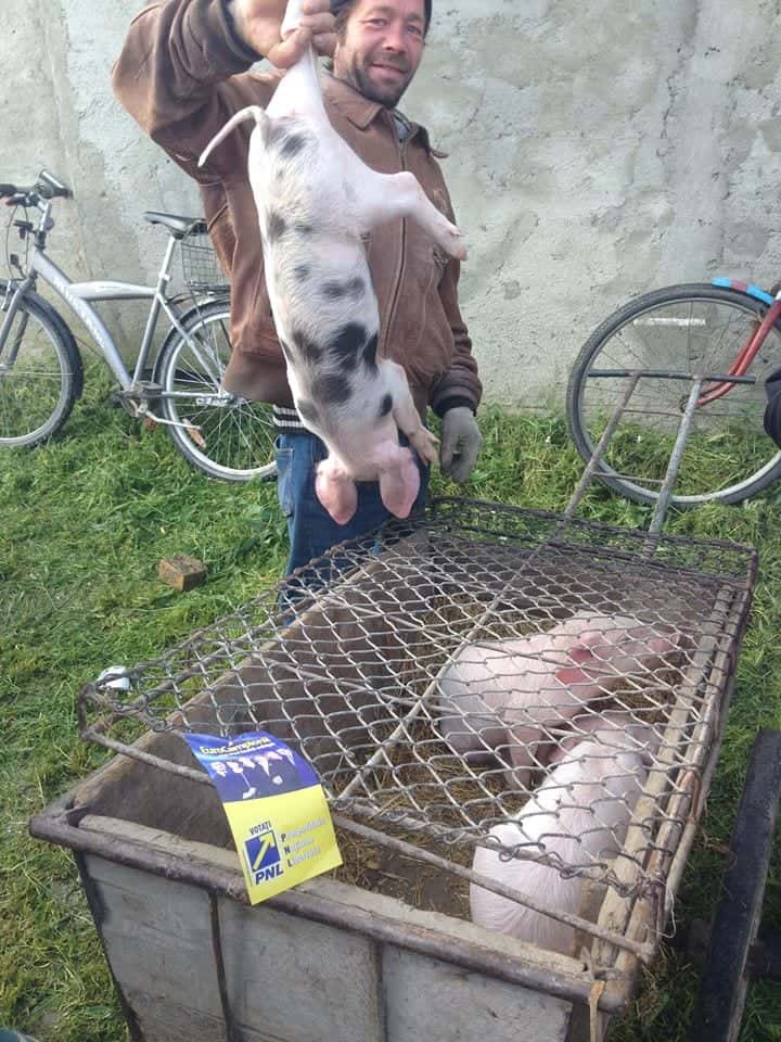 europ3 europ3